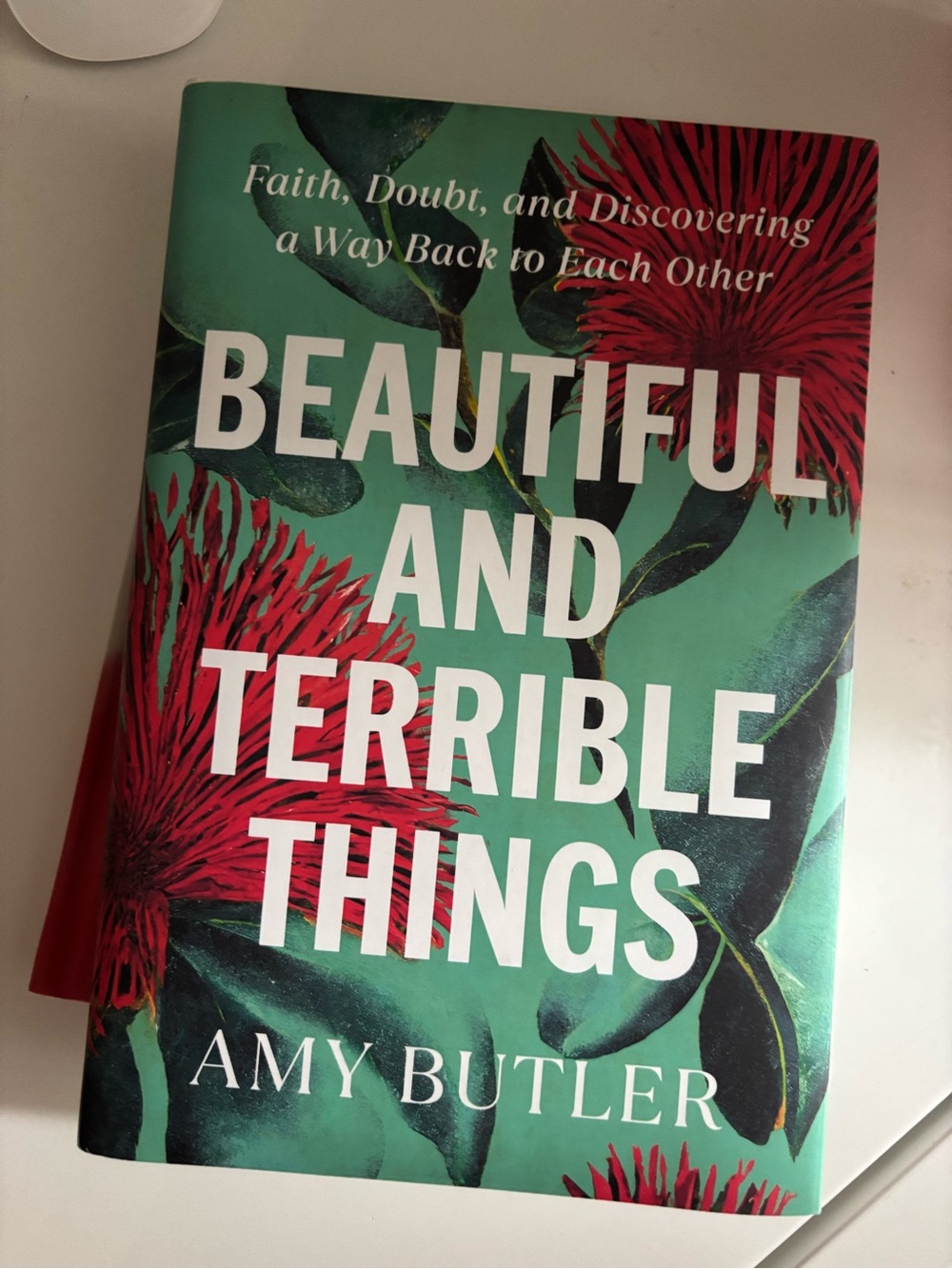 "Beautiful and Terrible Things" Amy Butler Hardcover Book